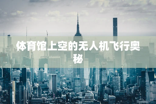 体育馆上空的无人机飞行奥秘