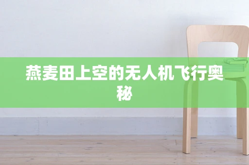 燕麦田上空的无人机飞行奥秘