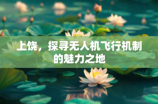 上饶，探寻无人机飞行机制的魅力之地