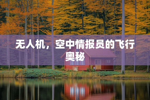 无人机，空中情报员的飞行奥秘
