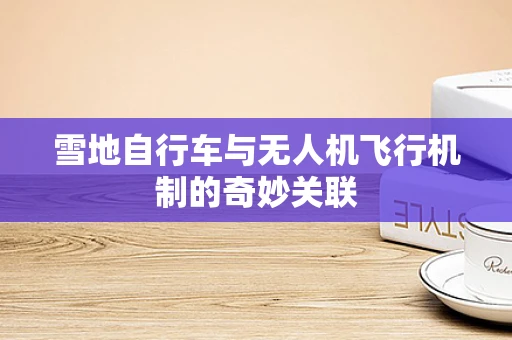 雪地自行车与无人机飞行机制的奇妙关联