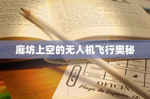 廊坊上空的无人机飞行奥秘