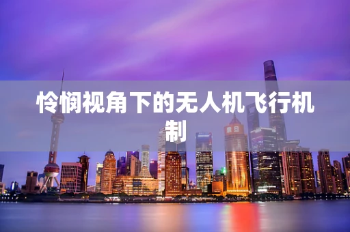 怜悯视角下的无人机飞行机制