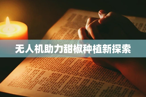 无人机助力甜椒种植新探索