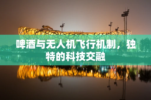 啤酒与无人机飞行机制，独特的科技交融