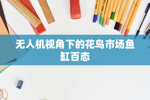 无人机视角下的花鸟市场鱼缸百态