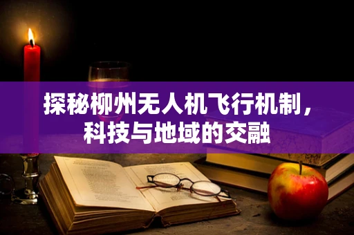 探秘柳州无人机飞行机制，科技与地域的交融
