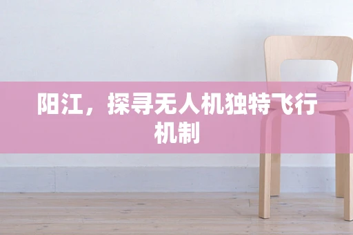 阳江，探寻无人机独特飞行机制