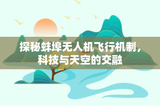探秘蚌埠无人机飞行机制，科技与天空的交融