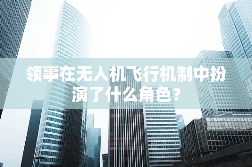 领事在无人机飞行机制中扮演了什么角色？