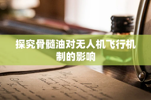 探究骨髓油对无人机飞行机制的影响