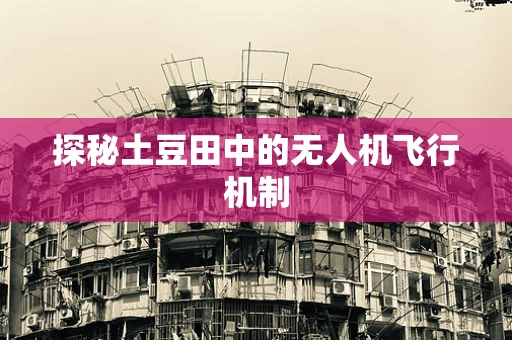 探秘土豆田中的无人机飞行机制