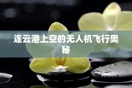 连云港上空的无人机飞行奥秘