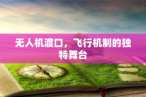 无人机渡口，飞行机制的独特舞台
