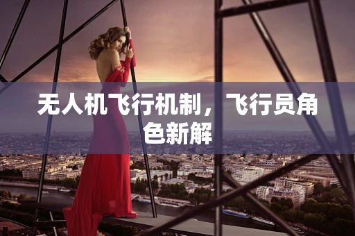 无人机飞行机制，飞行员角色新解