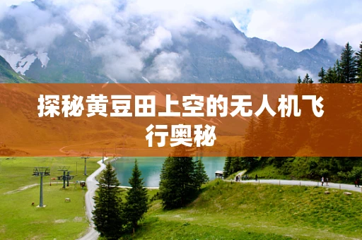 探秘黄豆田上空的无人机飞行奥秘
