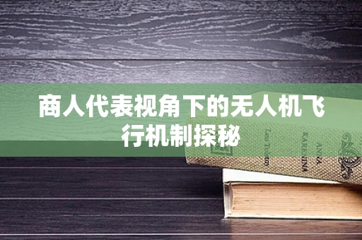 商人代表视角下的无人机飞行机制探秘