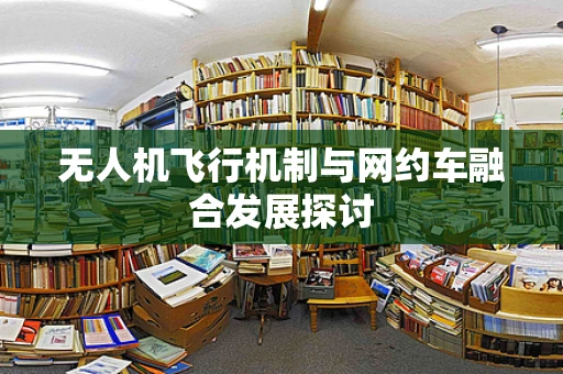 无人机飞行机制与网约车融合发展探讨