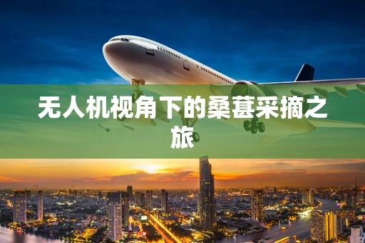 无人机视角下的桑葚采摘之旅