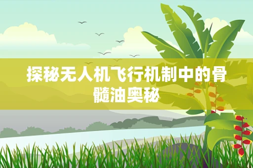 探秘无人机飞行机制中的骨髓油奥秘