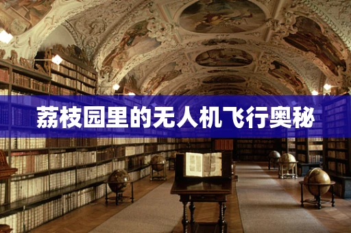 荔枝园里的无人机飞行奥秘