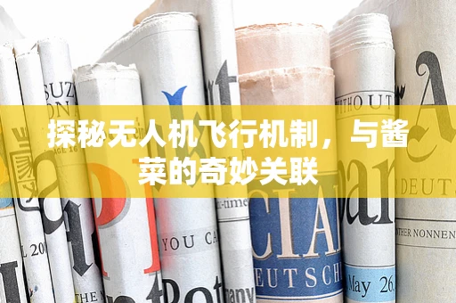 探秘无人机飞行机制，与酱菜的奇妙关联