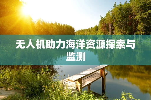 无人机助力海洋资源探索与监测