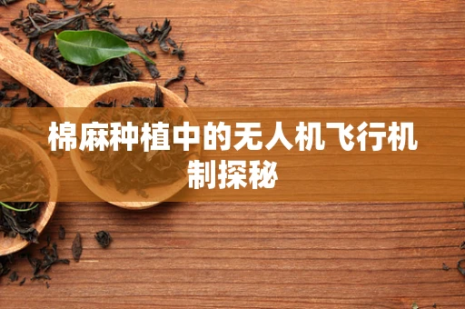 棉麻种植中的无人机飞行机制探秘