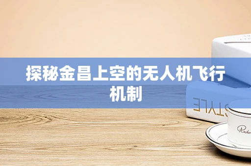 探秘金昌上空的无人机飞行机制