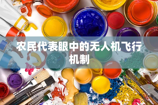 农民代表眼中的无人机飞行机制