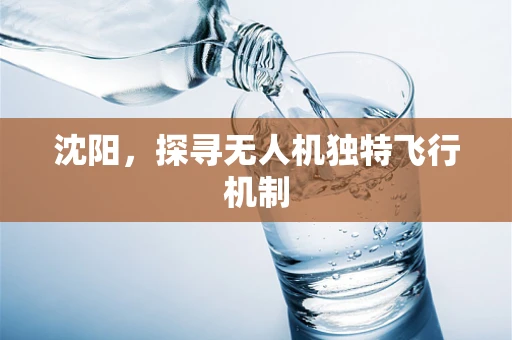 沈阳，探寻无人机独特飞行机制