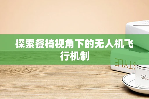 探索餐椅视角下的无人机飞行机制