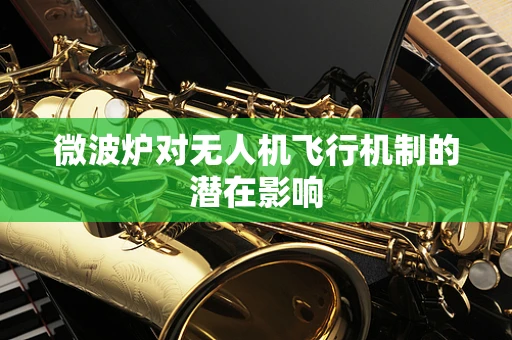 微波炉对无人机飞行机制的潜在影响
