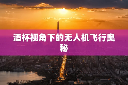 酒杯视角下的无人机飞行奥秘