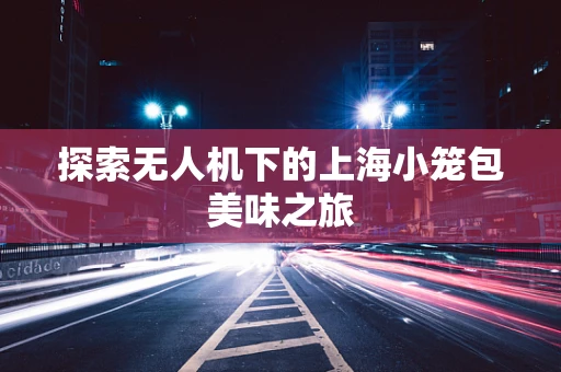 探索无人机下的上海小笼包美味之旅