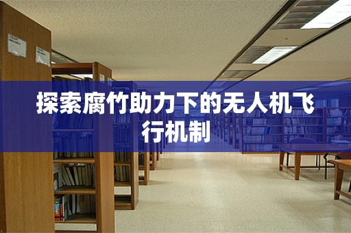 探索腐竹助力下的无人机飞行机制