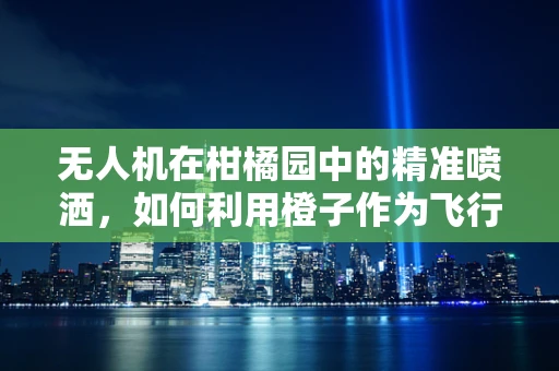无人机在柑橘园中的精准喷洒，如何利用橙子作为飞行路径的智能标识？