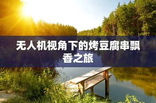 无人机视角下的烤豆腐串飘香之旅