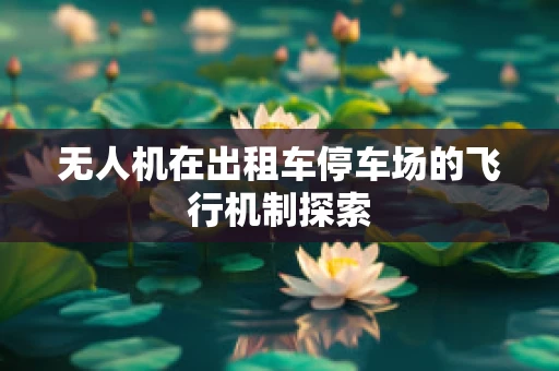 无人机在出租车停车场的飞行机制探索