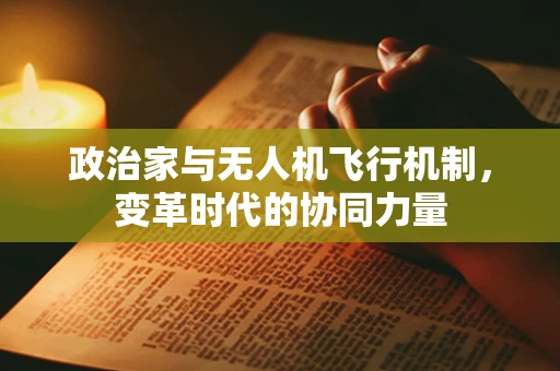 政治家与无人机飞行机制，变革时代的协同力量
