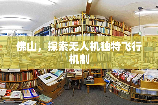 佛山，探索无人机独特飞行机制