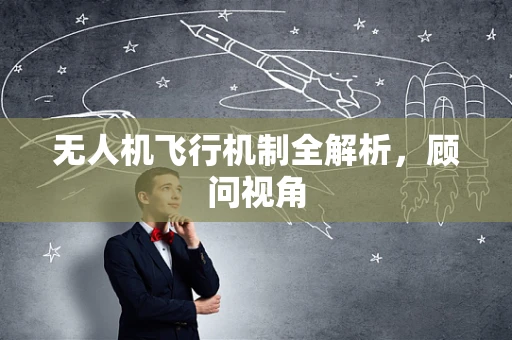 无人机飞行机制全解析，顾问视角