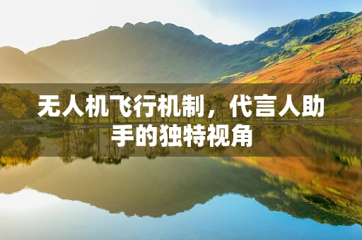 无人机飞行机制，代言人助手的独特视角