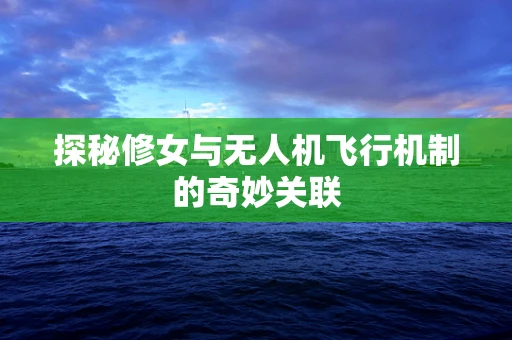 探秘修女与无人机飞行机制的奇妙关联