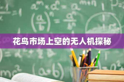花鸟市场上空的无人机探秘