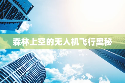 森林上空的无人机飞行奥秘
