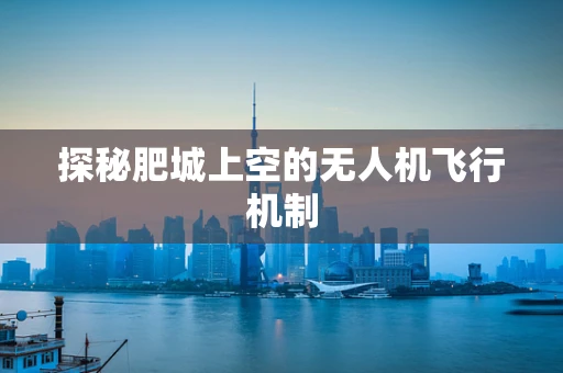 探秘肥城上空的无人机飞行机制