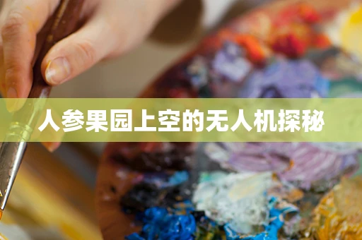 人参果园上空的无人机探秘