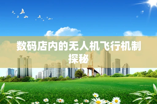 数码店内的无人机飞行机制探秘