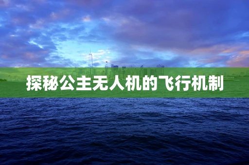 探秘公主无人机的飞行机制